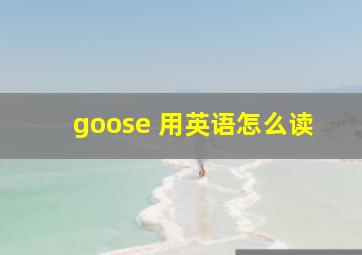 goose 用英语怎么读